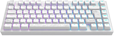 Einfach und sicher online bestellen: Dark Project Tastatur Terra Nostra White  (ISO DE) in Österreich kaufen.