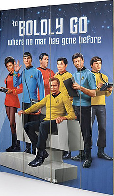 Einfach und sicher online bestellen: Star Trek Holzdruck Boldly Go 40 x 60 cm in Österreich kaufen.