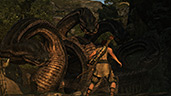 Dragons Dogma: Dark Arisen Screenshots
